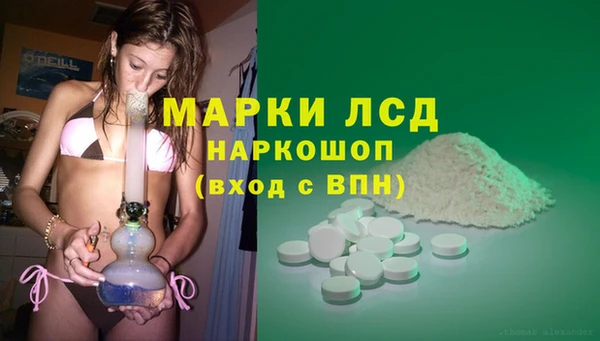 дживик Аркадак